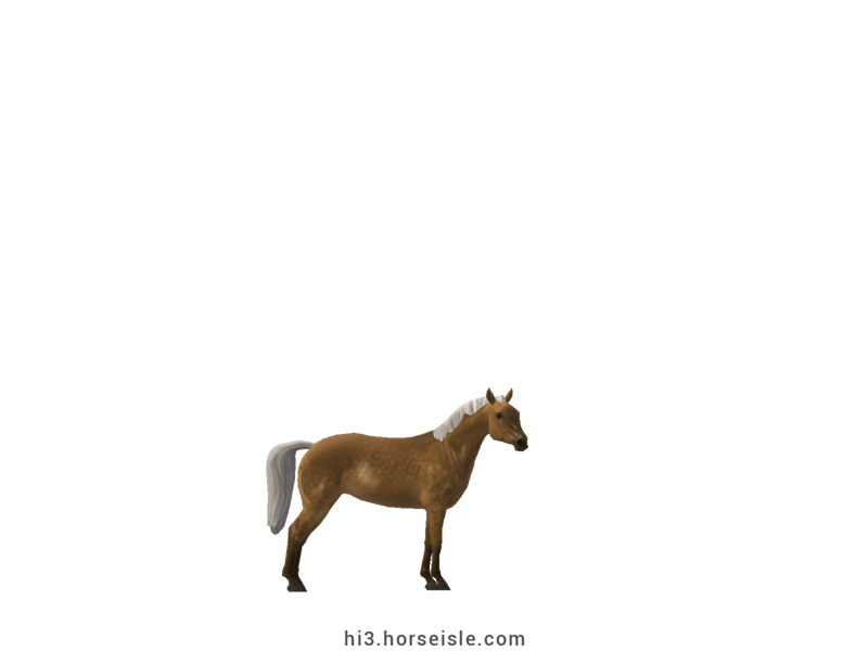 American Miniature Horse Sooty Linebacked Copper Palomino Coat